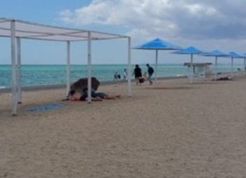 Эллинги на берегу моря в Крыму Прибрежное