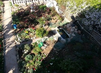 Гостевой дом Сосновая роща в Севастополе Учкуевка