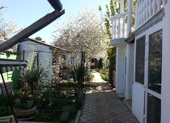 Гостевой дом Сосновая роща в Севастополе Учкуевка